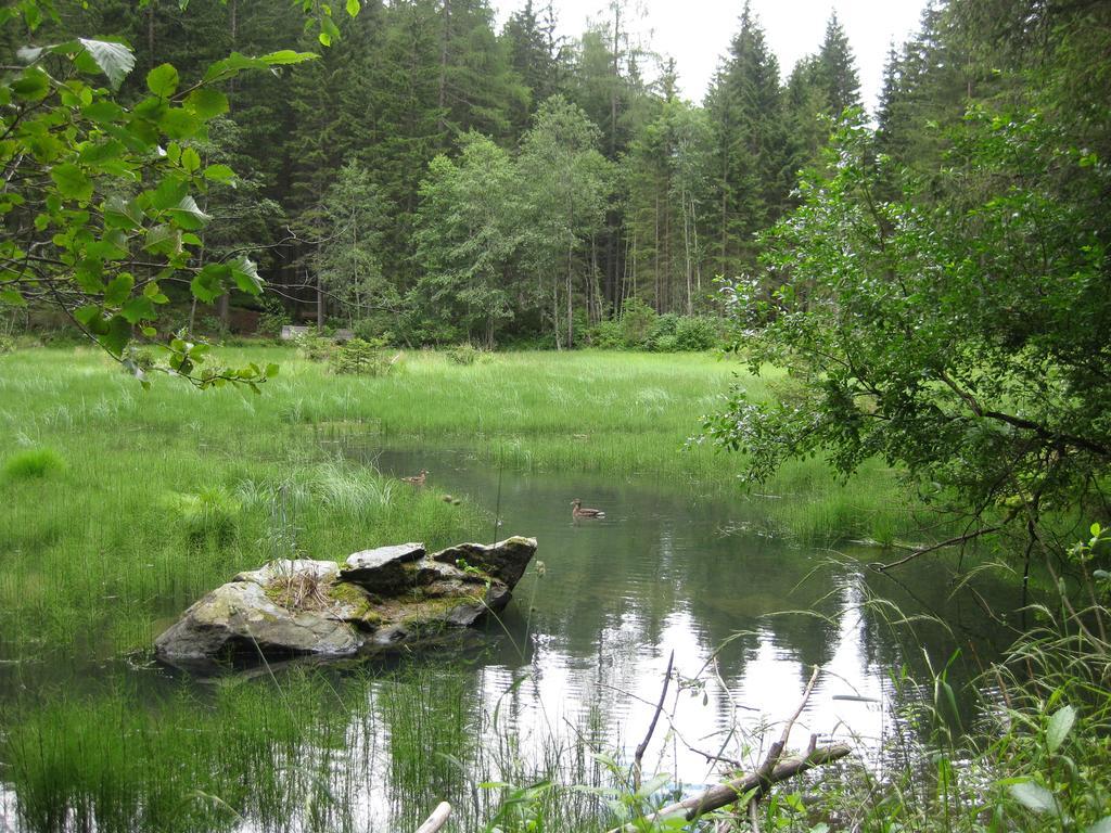 Almhuette Adlerhorst Villa Heiligenblut Luaran gambar
